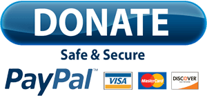 Donate with PayPal button